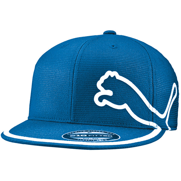 Puma Monoline 210 Performance Cap - Blue