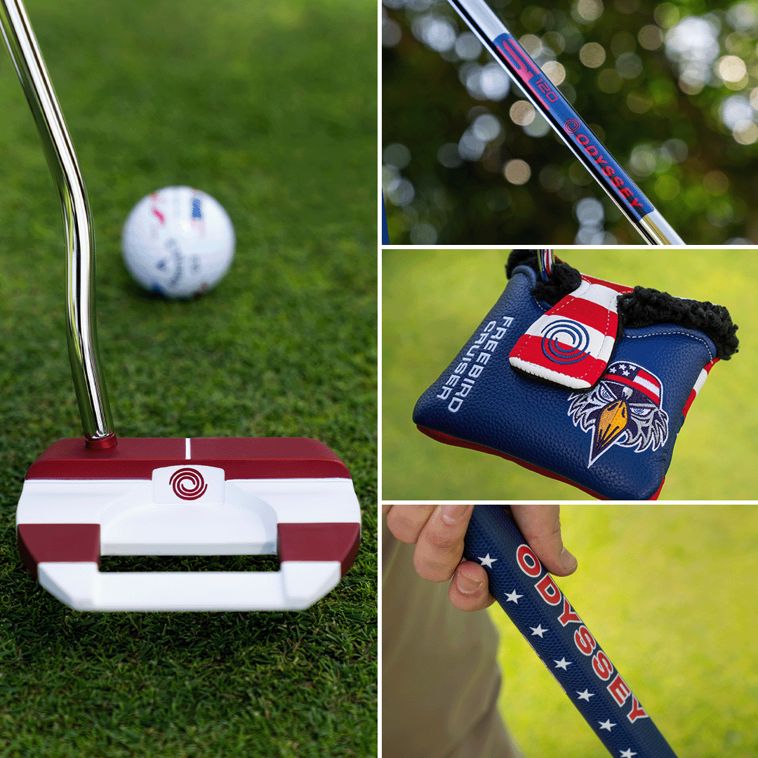 Odyssey Ai-DUAL USA 250 Freebird Cruiser Putter - view 2